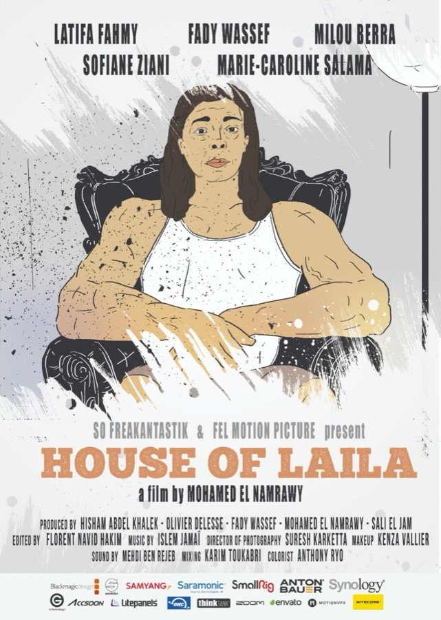 House of Laila poster